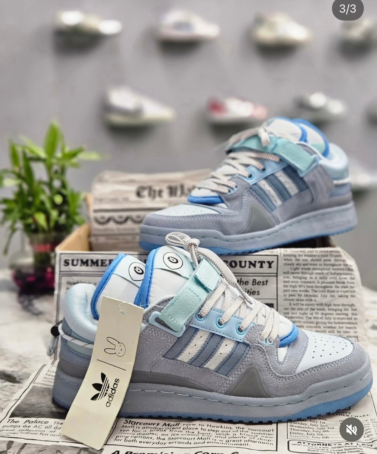 Adidas Original - Bad Bunny