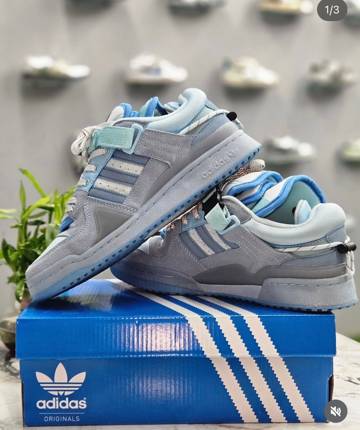 Adidas Original - Bad Bunny