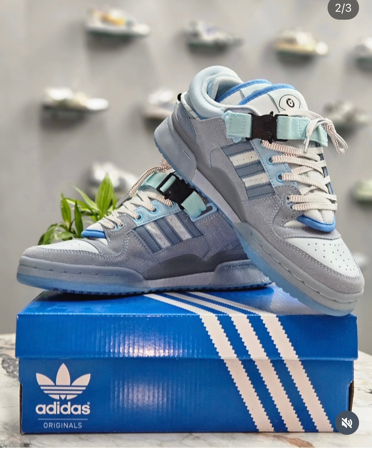 Adidas Original - Bad Bunny